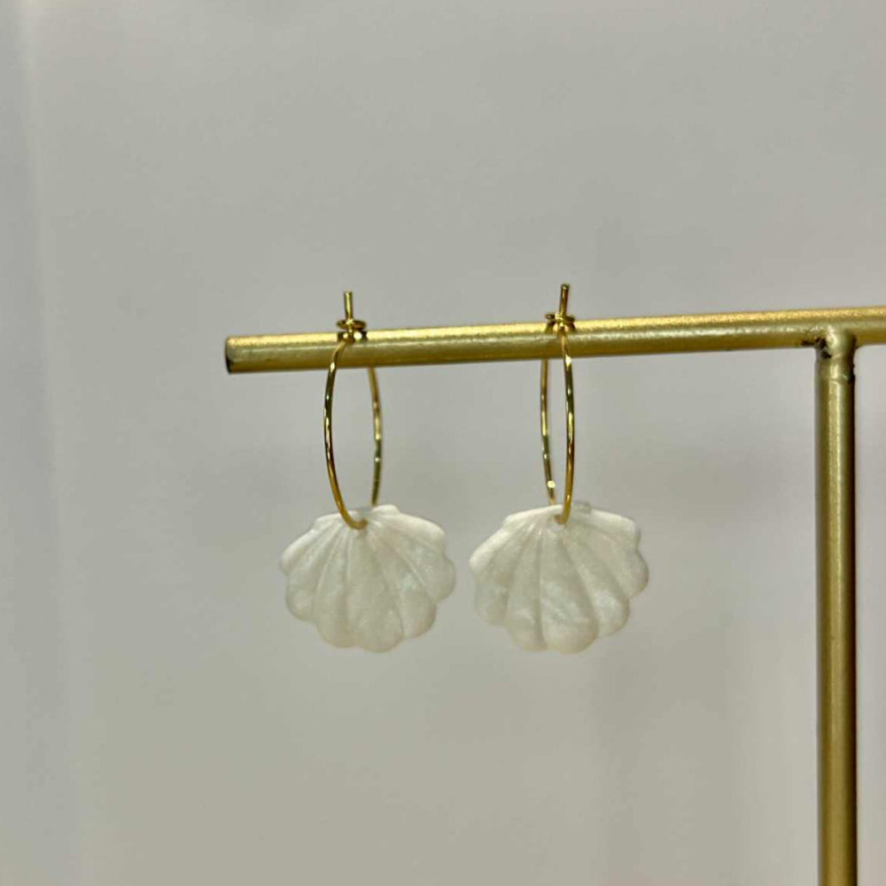 Créole (petite) Coquillage
