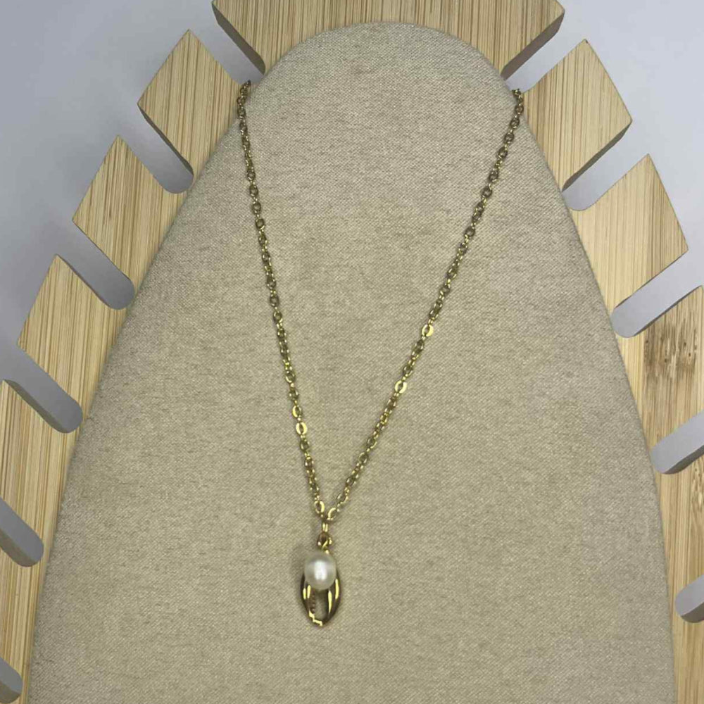 Collier coquillage et sa perle