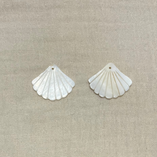 Coquillages nacre