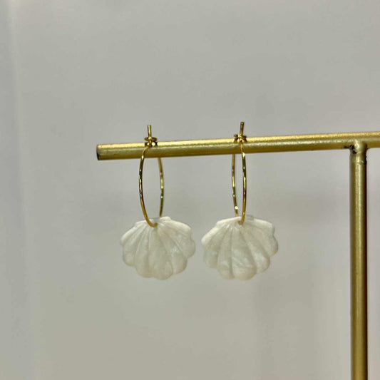 Créole (petite) Coquillage